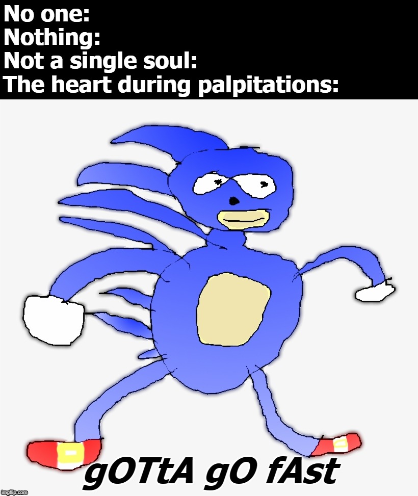 Sonic "Gotta Go Fast" Meme Imgflip