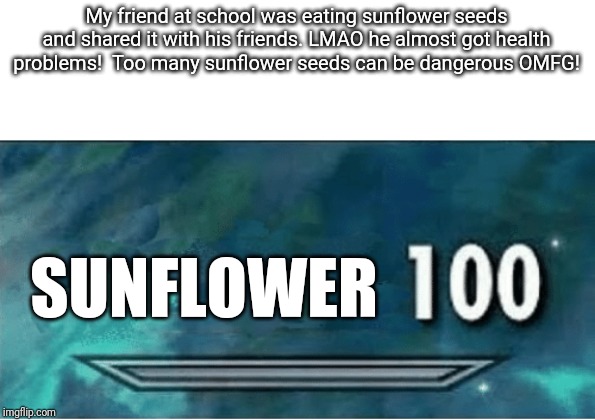 Skyrim 100 Blank Imgflip