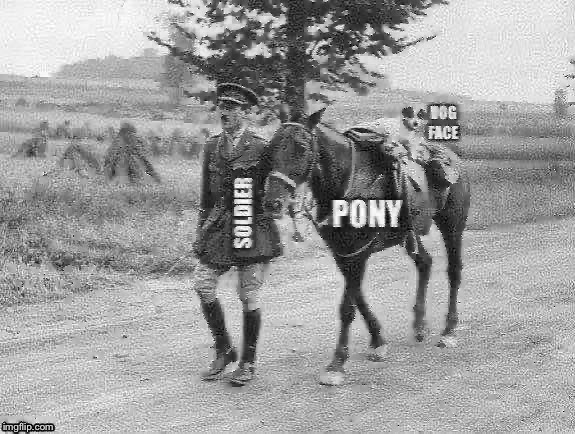 The earliest known dog faced pony soldier meme was discovered on an old