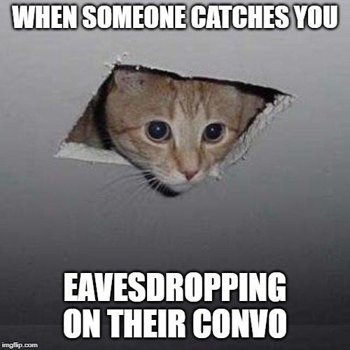 Ceiling Cat Meme Imgflip