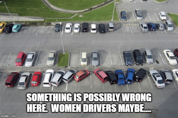 women parking Imgflip