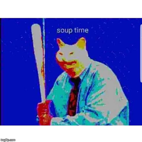 My new OC! It's name is Soup! Bio sheet in the comments! Imgflip
