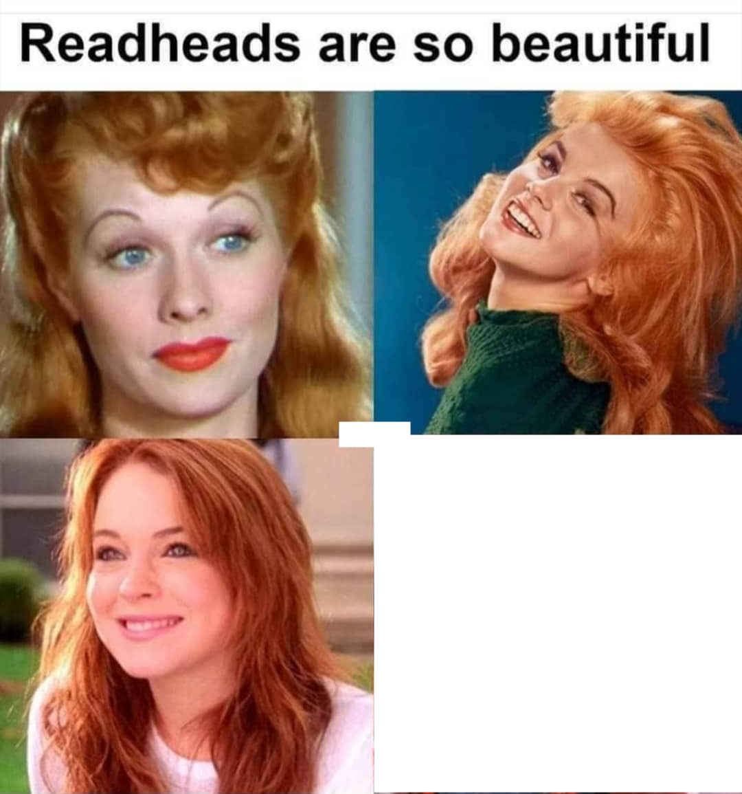 Redheads are so beautiful Memes Imgflip
