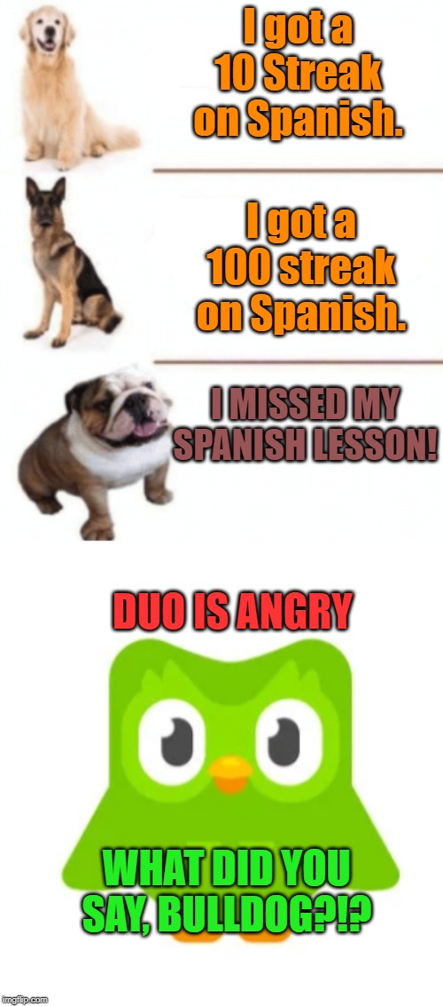 Duolingo Dogs Imgflip
