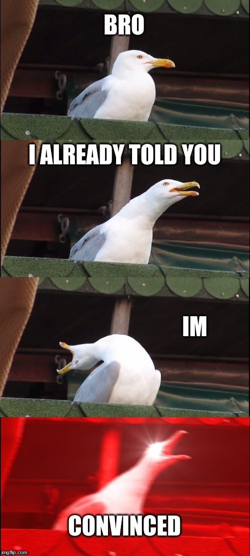 duck Memes & GIFs Imgflip