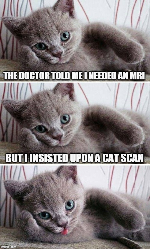 concussion Memes & GIFs Imgflip