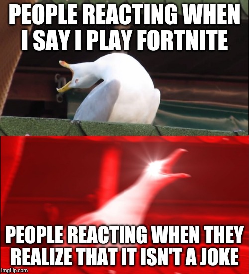 Screaming bird Imgflip