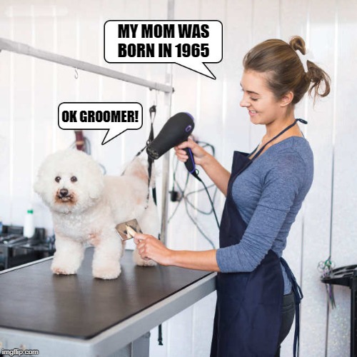 ok groomer Imgflip
