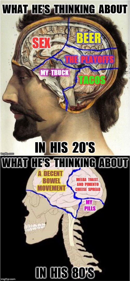 Biggest brain Time Imgflip