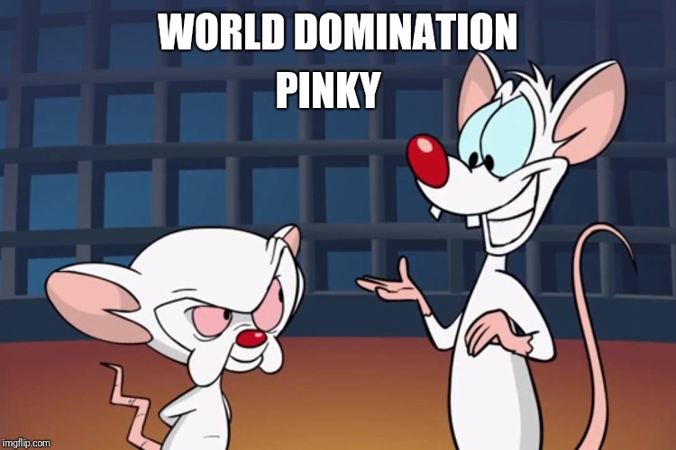 Pinky and the Brain Imgflip