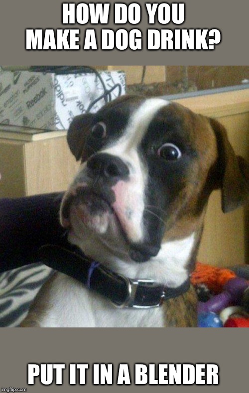 Scared dog Memes Imgflip