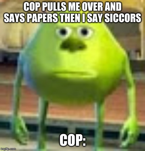 Sully Wazowski Imgflip