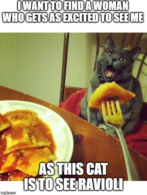 Cat Loves Ravioli Imgflip
