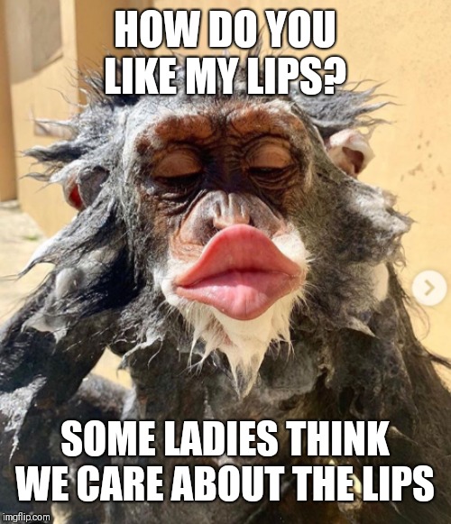 Funny Big Lips Meme