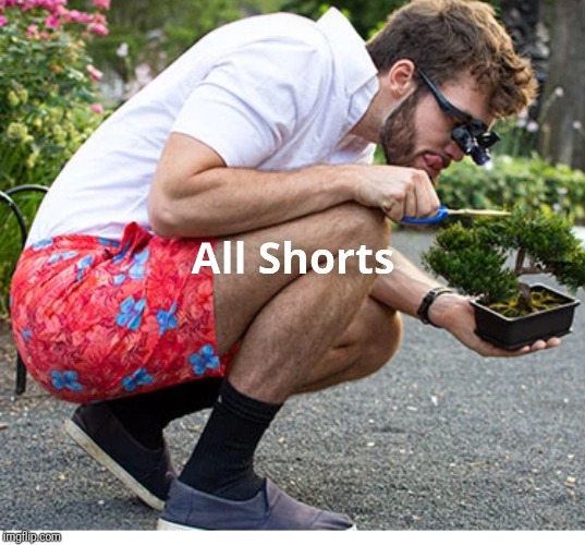 Bird Dogs Shorts OT Lounge