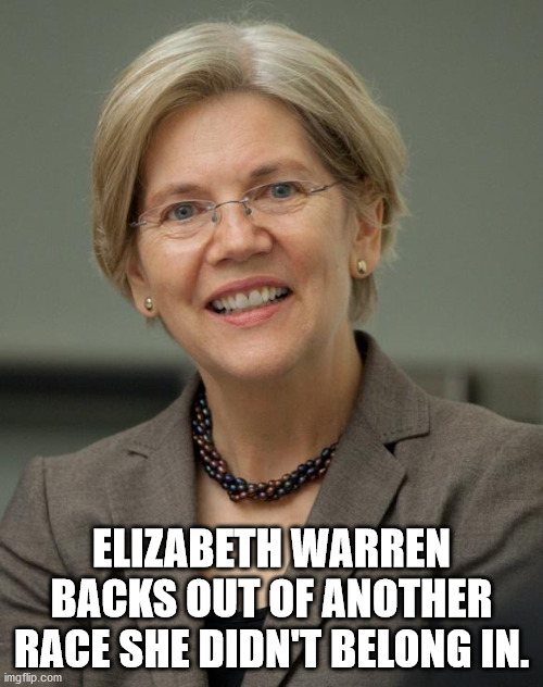 Elizabeth Warren Imgflip