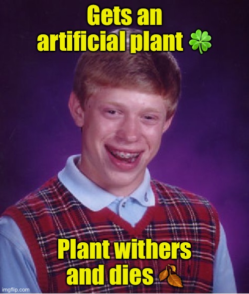 Bad Luck Brian Meme Imgflip