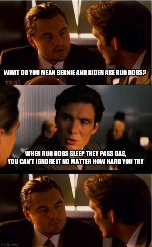 Bernie and Biden are rug dogs Imgflip