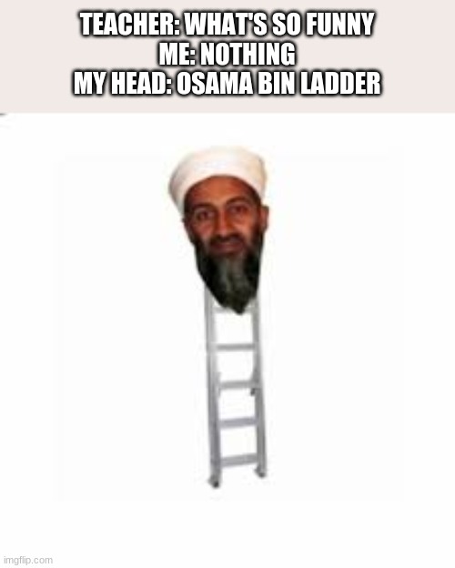 Image tagged in osama bin laden Imgflip
