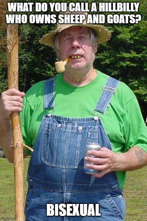 Likes Em Both Imgflip