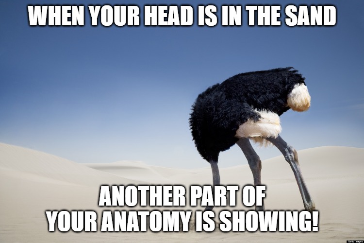 Ostrich head in sand Imgflip