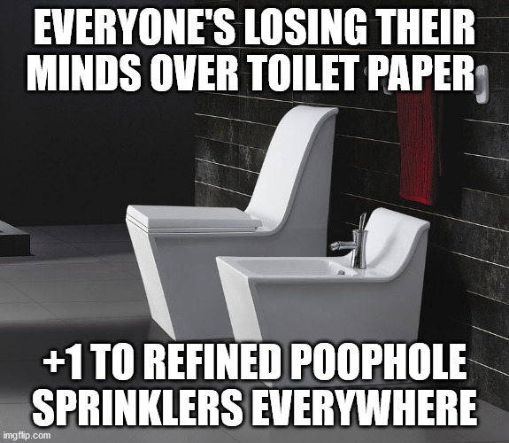 Image tagged in bidet meme Imgflip