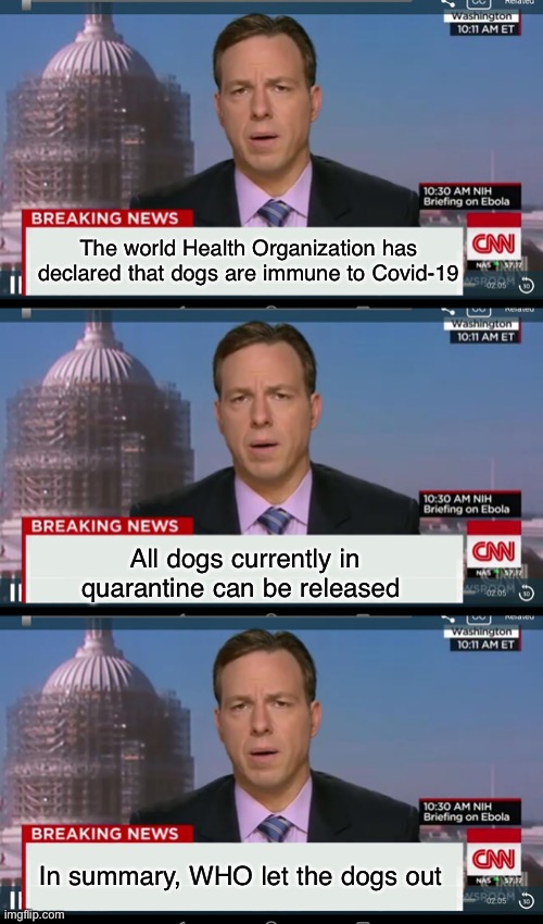 Who let the dogs out? WHO, WHO ,WHO, WHO Imgflip