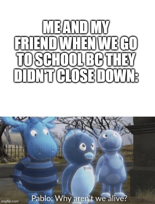 Image tagged in blank white template,pablo why aren't we alive Imgflip
