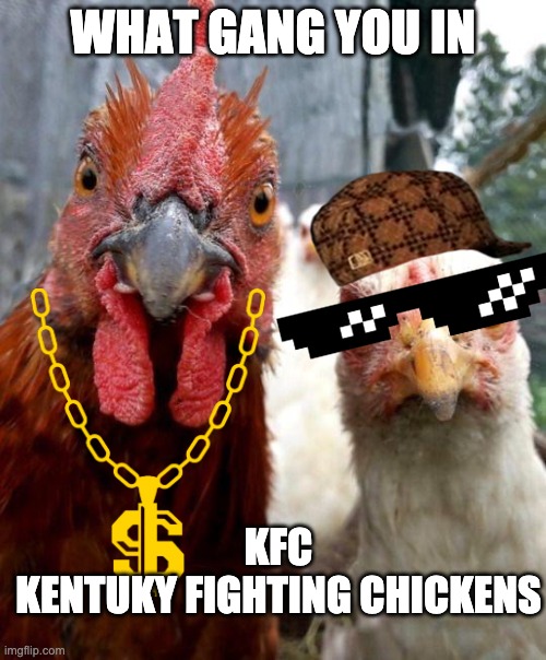 gangster chickens Imgflip