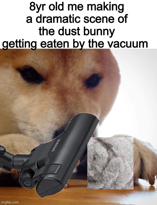 Who can relate? (Sorry the dust bunny looks so bad, I couldn’t find a