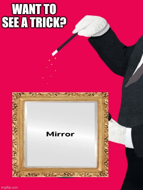 Image tagged in tricks,magician Imgflip