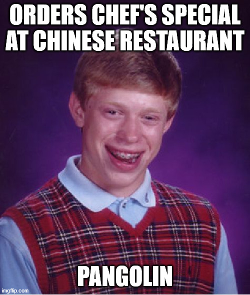 Bad Luck Brian Meme Imgflip