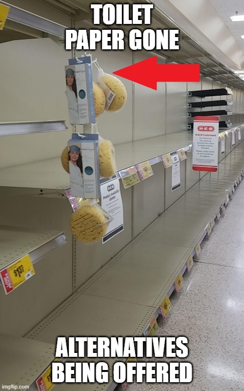 Toilet paper alternatives Imgflip