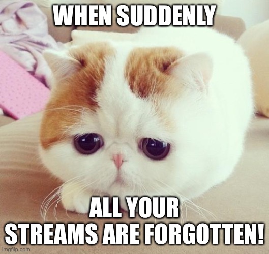 Sad Cat Imgflip