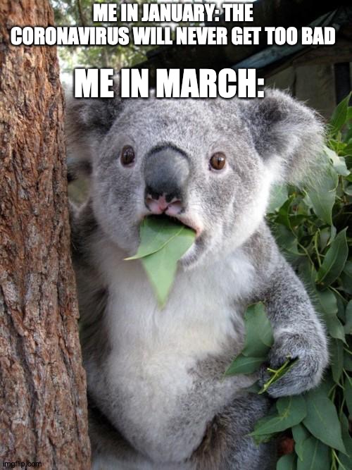 Surprised Koala Meme Imgflip