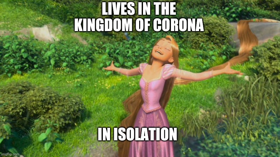 Rapunzel Tangled Memes Imgflip