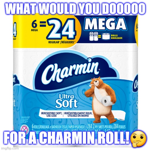 charmin Memes & GIFs Imgflip