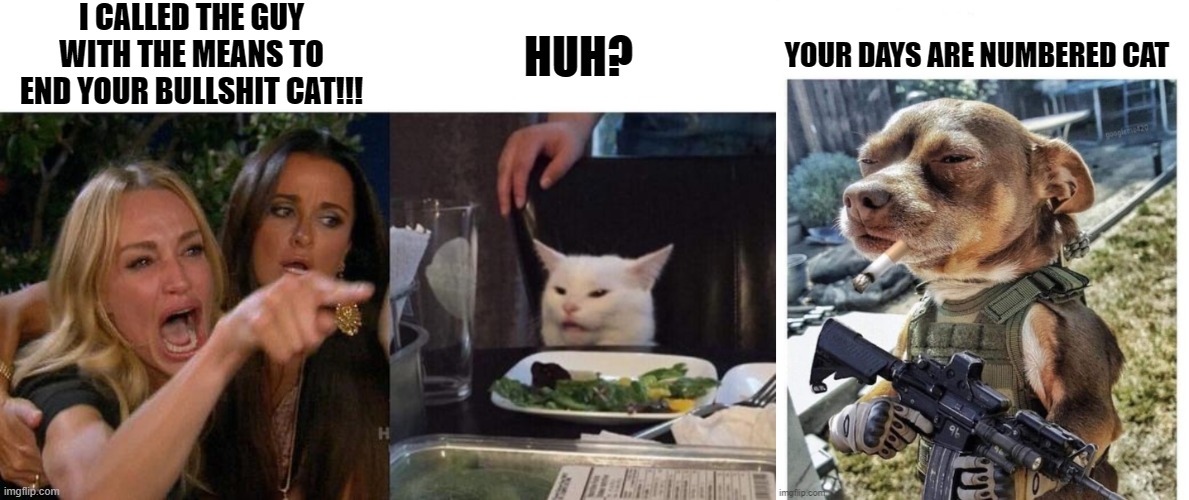 Jjuegodetruco My Days Are Numbered Meme