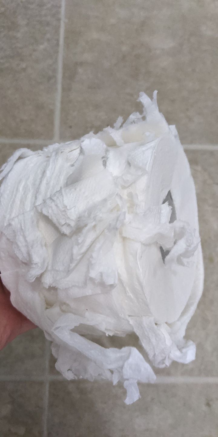 Destroyed toilet paper Meme Generator Imgflip