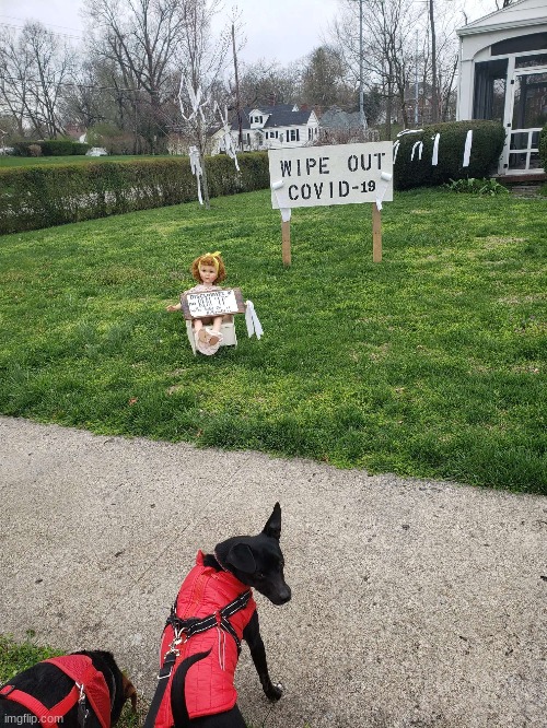 So, i went out to go walk my dogs, and somebody did this to their house