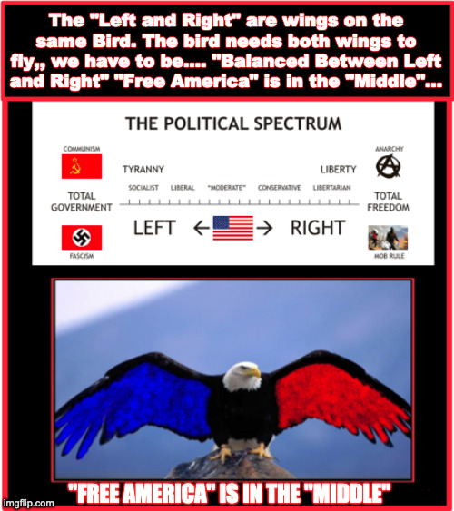 Left and Right Wings of the same Bird Imgflip