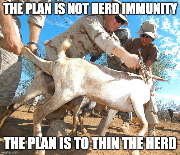 Image tagged in the plan is not herd immunity Imgflip