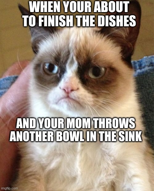 Grumpy Cat Meme Imgflip