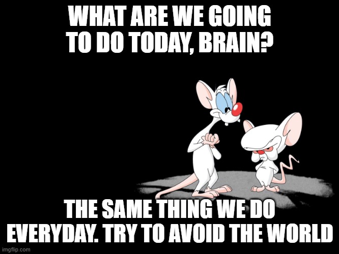 Pinky And The Brain Imgflip