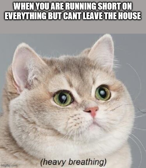 Heavy Breathing Cat Meme Imgflip