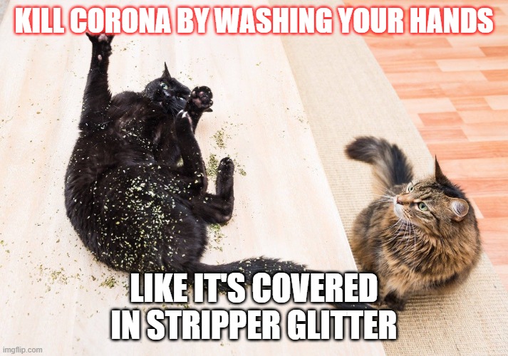 Glitter Memes Imgflip