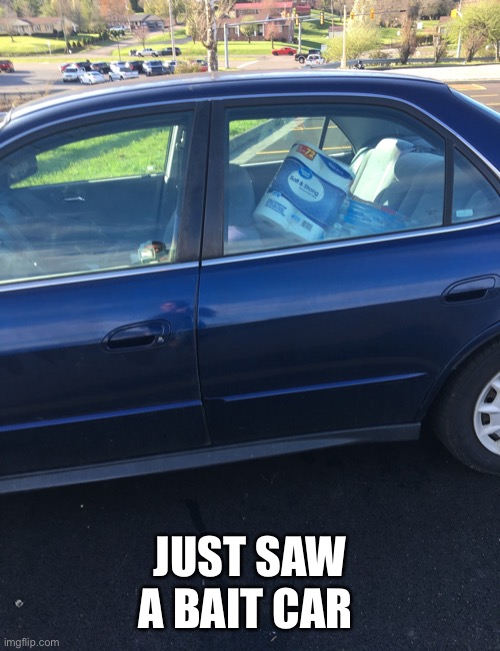 TP bait car Imgflip