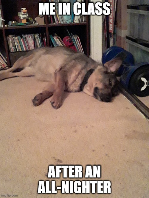 all nighter memes Imgflip
