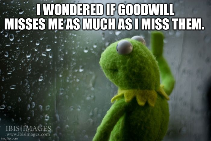 kermit window Imgflip