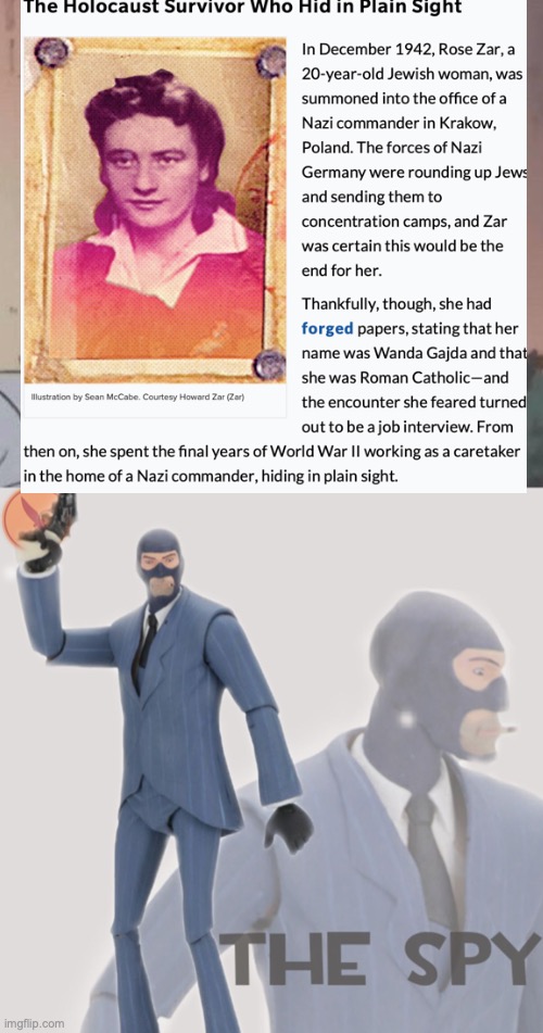 Image tagged in memes,is this a pigeon,meet the spy Imgflip